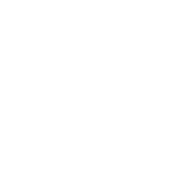 Find key stats and quotes icon