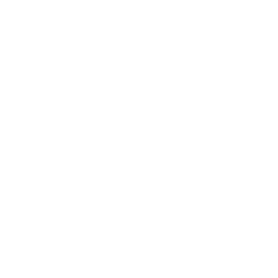 Summarize LinkedIn comments icon