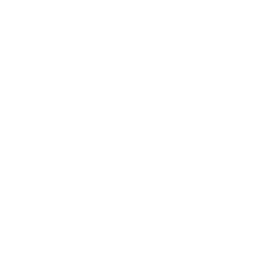 Chat with X videos and media icon