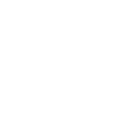 Summarize X tweets and threads icon